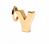 LETTER CHARM سحر Y