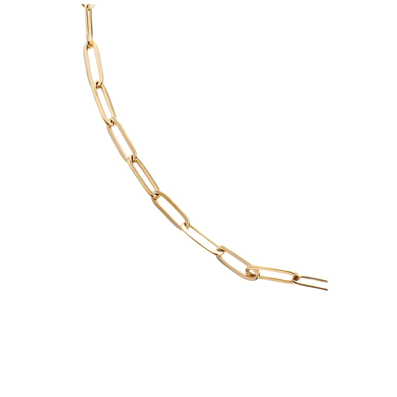 CHAIN LINK CHOKER NECKLACE (العقد)