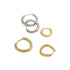 IRREGULAR CIRCLE BUCKLE EARRINGS (الأقراط)