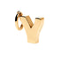 LETTER CHARM سحر Y